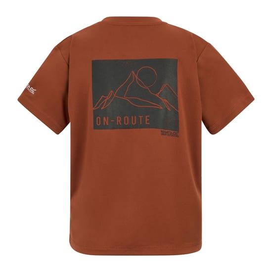 Regatta Childrens/Kids Alvarado Back Print T-Shirt (Brick) - Image 2