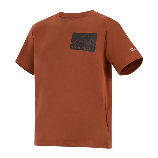 Regatta Childrens/Kids Alvarado Back Print T-Shirt (Brick) - Image 3