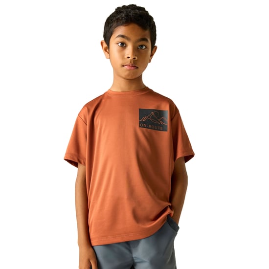 Regatta Childrens/Kids Alvarado Back Print T-Shirt (Brick) - Image 4
