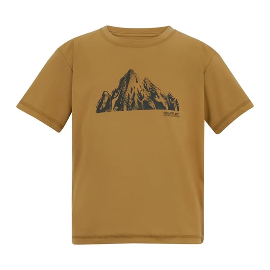 Regatta Childrens/Kids Alvarado Back Print T-Shirt (Wood Brown) - Image 1