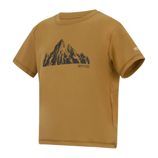 Regatta Childrens/Kids Alvarado Back Print T-Shirt (Wood Brown) - Image 3