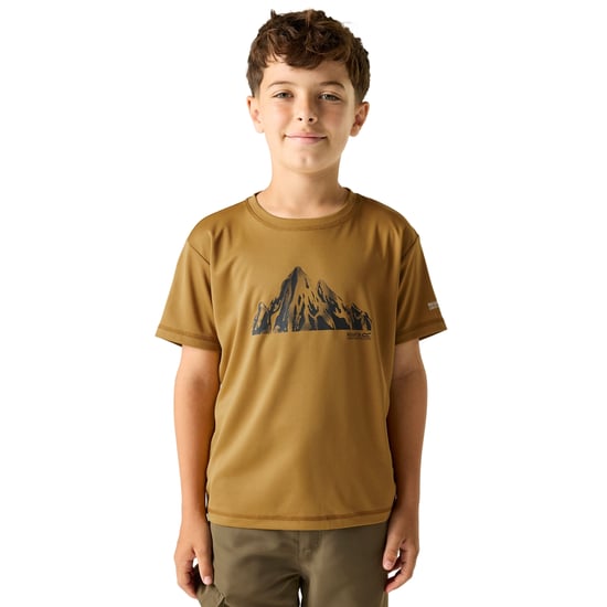 Regatta Childrens/Kids Alvarado Back Print T-Shirt (Wood Brown) - Image 4
