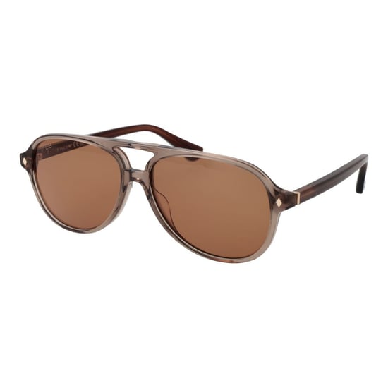 Web Brown Acetate Sunglasses - Image 1