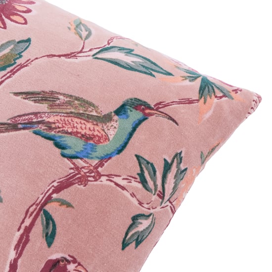 Wylder Aviary 100% Cotton Velvet Polyester Filled Cushion - Image 4