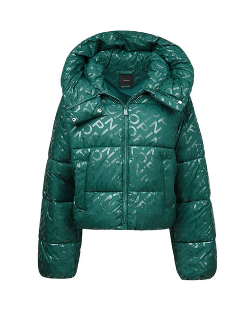 Pinko Winter Jacket Green - Image 1