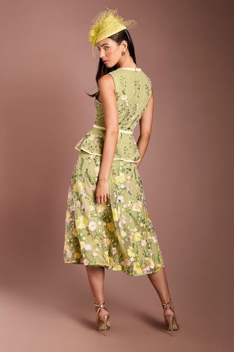Lisa Tan Embroidered Mesh Midi Dress - Image 3