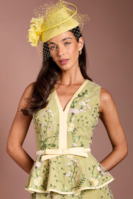 Lisa Tan Embroidered Mesh Midi Dress - Image 4