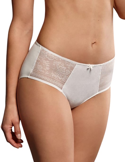 1355 Rosa Faia by Anita Fleur High Waist Brief - Image 4