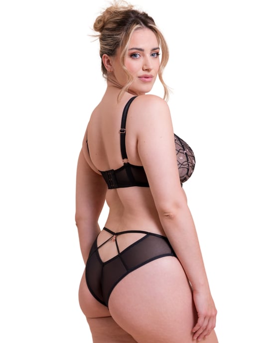 St054202 Scantilly By Curvy Kate Restraint Brazilian Brief - Image 5