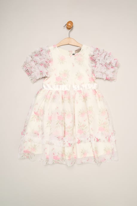 Floral Mesh Dress with Ruffle Sleeves - Image 1
