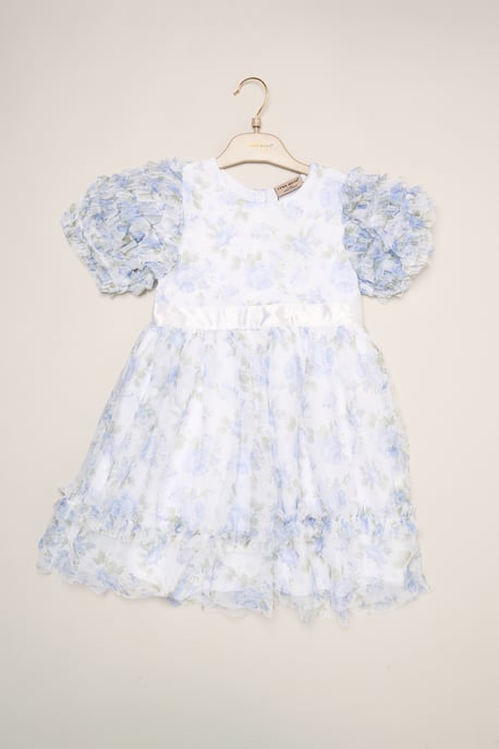 Floral Mesh Dress with Ruffle Sleeves - Image 2
