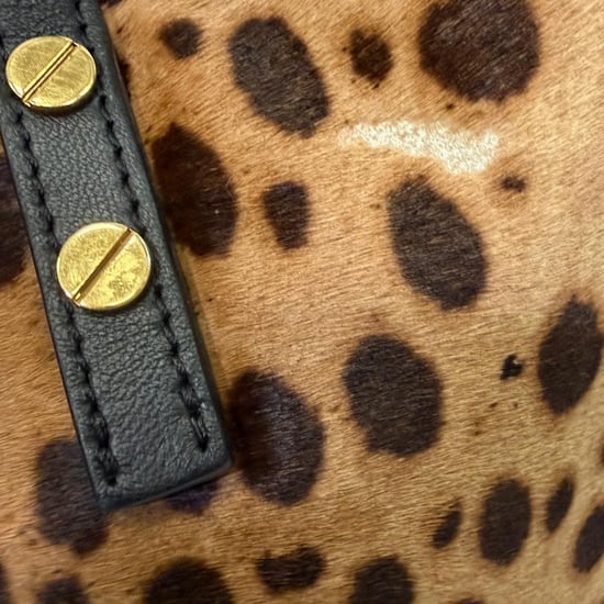 Chloé Leopard-Print Tote Bag in Brown Pony Hair - Image 6