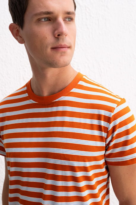 Slim Fit Randig Rundhalsad T-shirt - Image 4