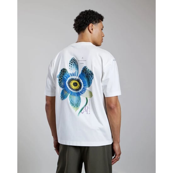 Aeden Luceris tee off - Image 1
