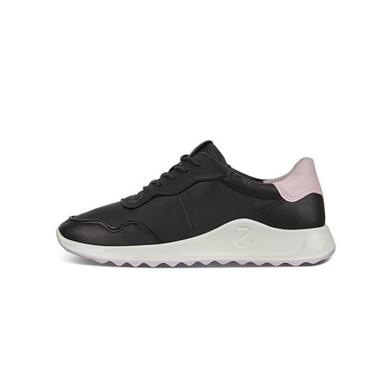 ECCO 292023 - Image 3