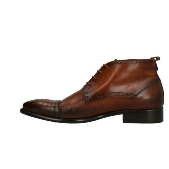 Lorenzi 2397 - Image 3