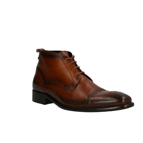 Lorenzi 2397 - Image 4
