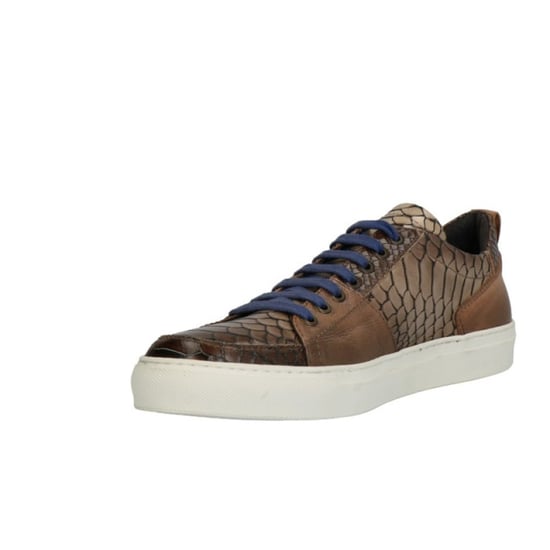 Lorenzi 5879 - Image 3