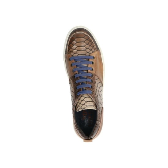 Lorenzi 5879 - Image 5