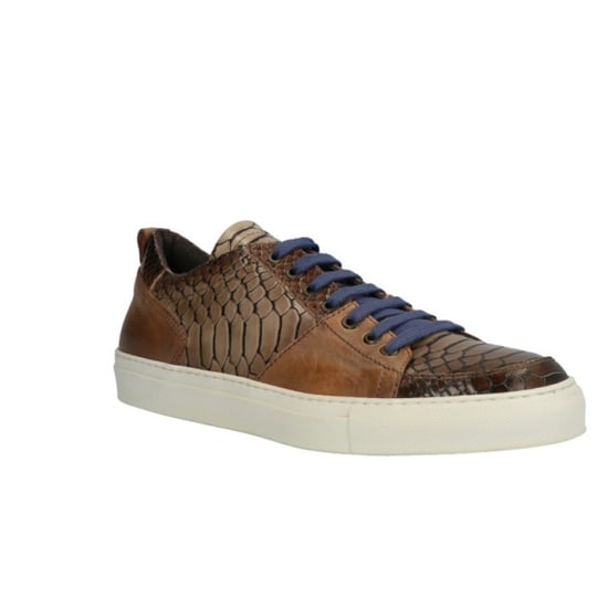 Lorenzi 5879 - Image 6