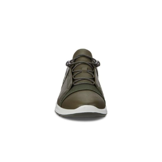 ECCO 292003 - Image 3