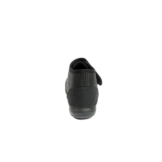 Promed 2001 - Image 3