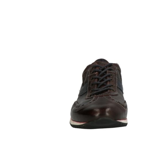 Lorenzi 5876 - Image 2