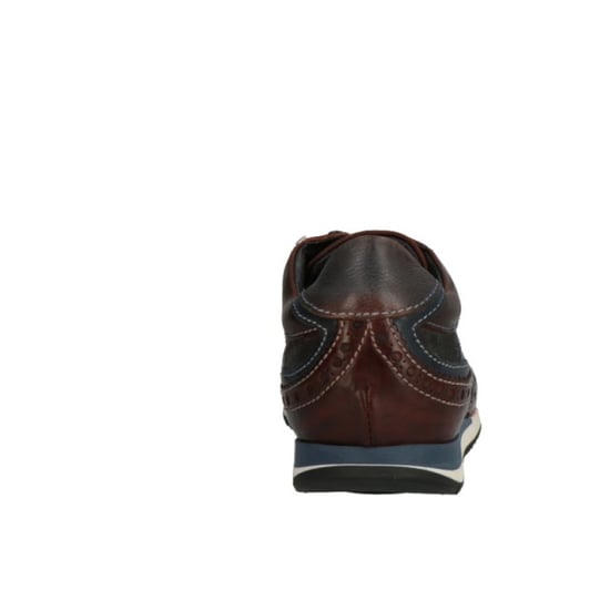 Lorenzi 5876 - Image 3