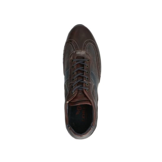 Lorenzi 5876 - Image 5