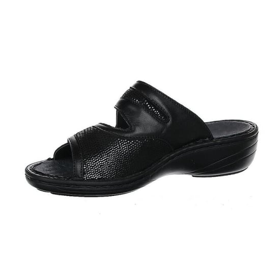 Stuppy 1538 - Image 2