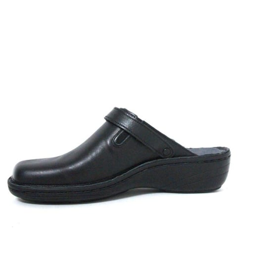 Stuppy 1426 - Image 3