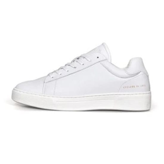 Cycleur de Luxe Cdlm 231100 - Image 3