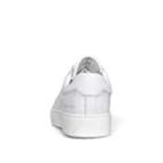 Cycleur de Luxe Cdlm 231100 - Image 5