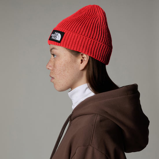 Tnf Logo Box Cuffed Beanie - Image 4