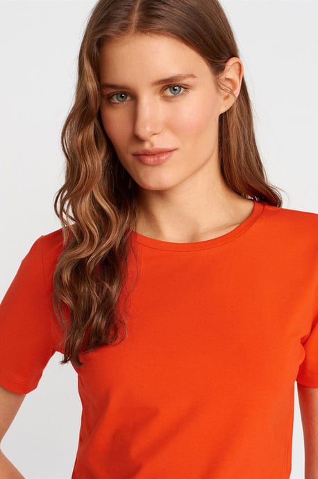 Dames Crop Slim-Fit Crew Neck T-Shirt - Image 4