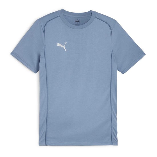 Puma Heren TeamFinal T-Shirt (Blauw) - Image 1