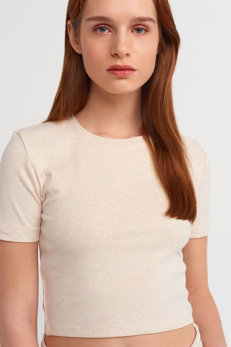 Women's Slim Fit Crop T-Shirt - Image 4