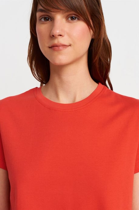 Women's Cotton Ribbed Crew Neck T-Shirt - Image 3