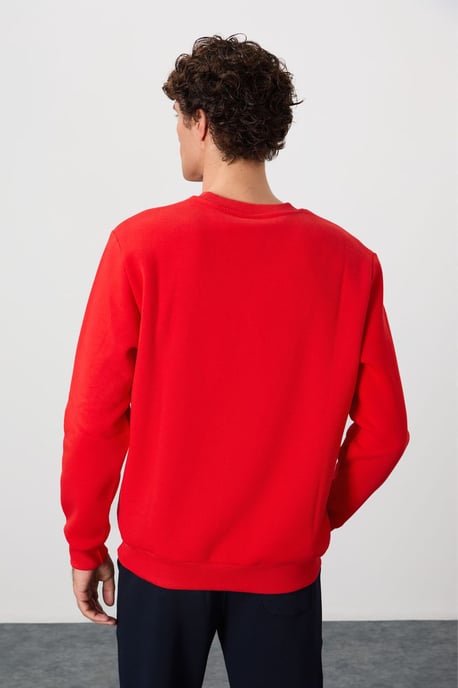 Heren Regular Fit Round Neck Sweater - Image 5