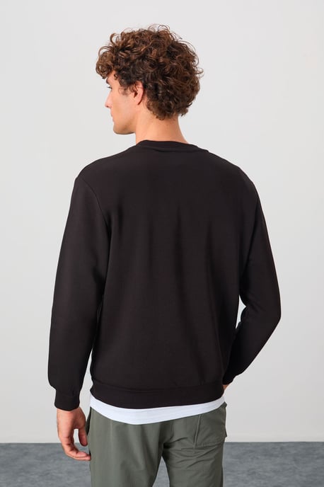 Heren Regular Fit Round Neck Sweater - Image 5