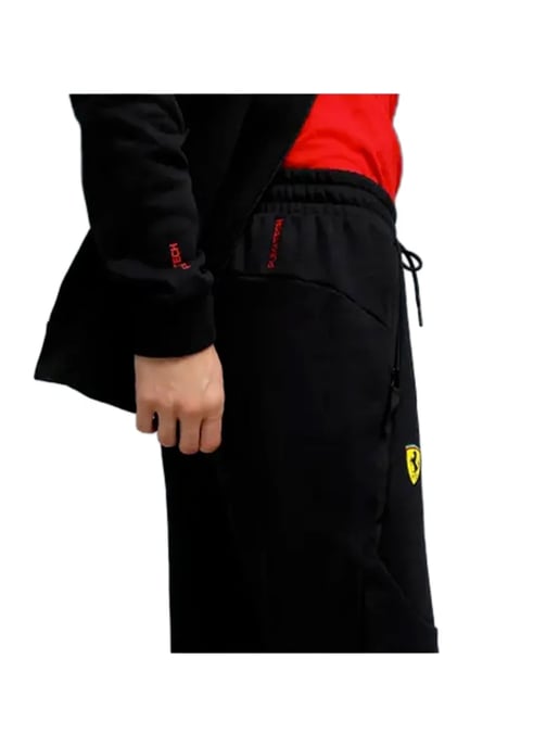 GBFerrari Pumatech - Image 3