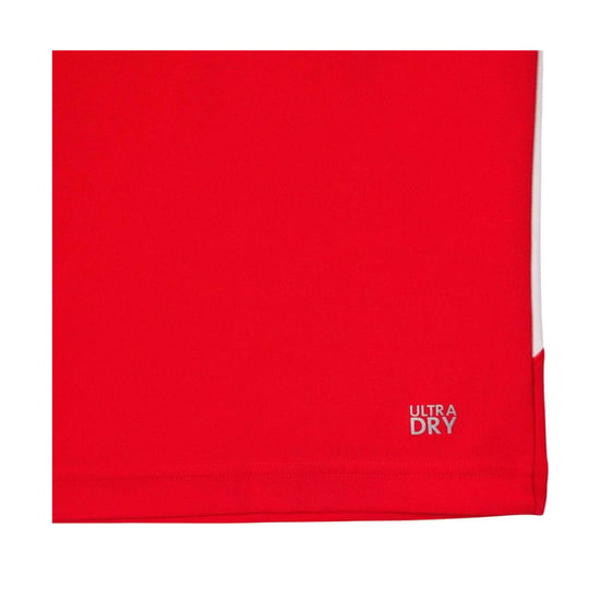 Lacoste Heren Tennis x Novak Djokovic Regular Poloshirt (Rood) - Image 3