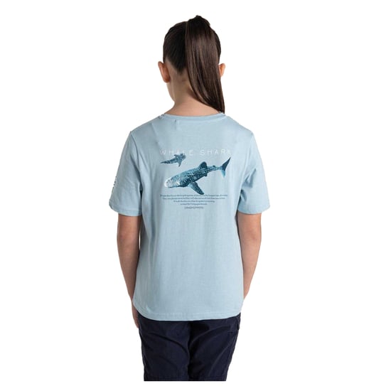 Craghoppers Kinderen/Kinderen Ellis Walvis Haai T-Shirt (Hemelsblauw) - Image 2