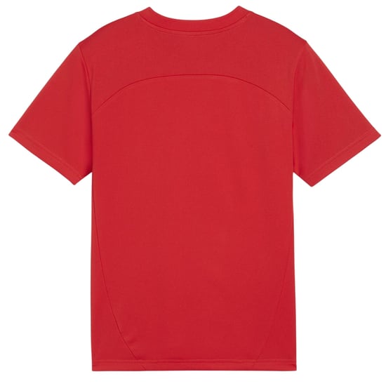 Puma Kinderen/Kinderen TeamFinal Performance T-shirt (Rood) - Image 2