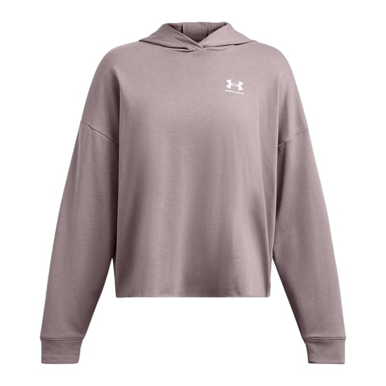 Under Armour Dames/Dames Rival Terrycloth Oversized Hoodie (Grijs) - Image 1