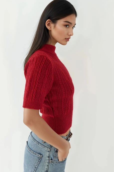 Short Sleeve Half Turtleneck Hair Braid Knit Sweater - Image 2