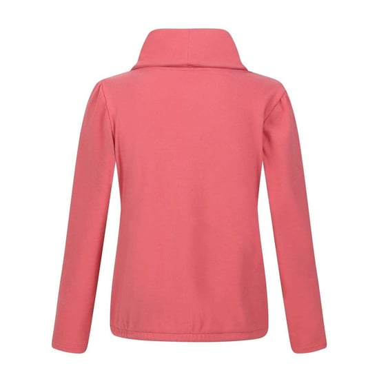 Regatta Dames/Dames Sweatshirt met Cowl Hals (Mineraal Rood) - Image 2