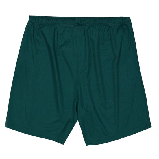 Castore Trainingsbroek voor kinderen – Ierland (Groen) - Image 2