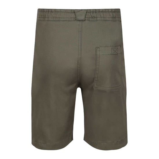 Regatta Chino Shorts Kinderen/Kinderen Alber (Groen) - Image 2