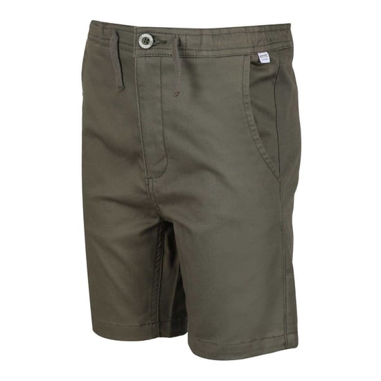 Regatta Chino Shorts Kinderen/Kinderen Alber (Groen) - Image 3